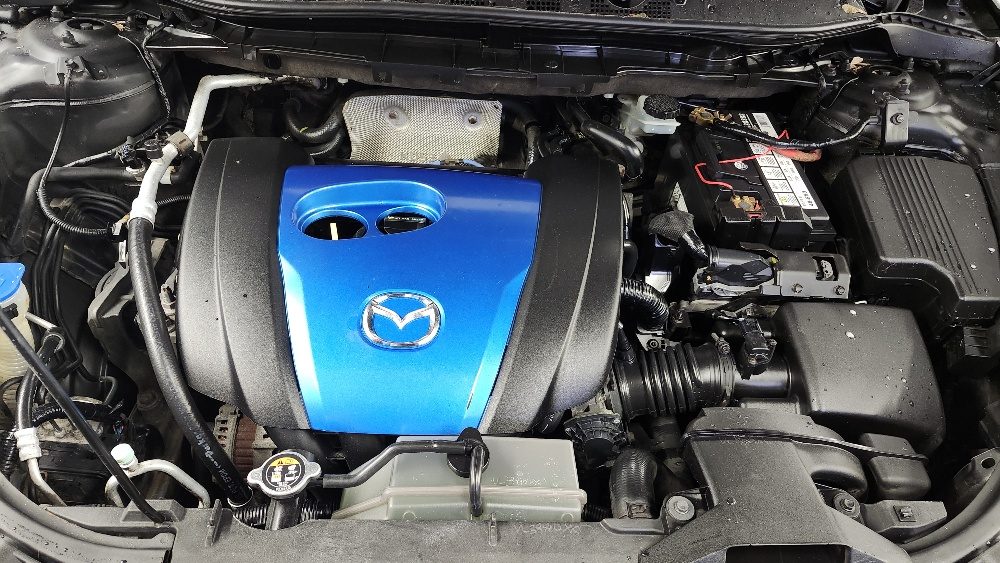 20260126_120229_resized